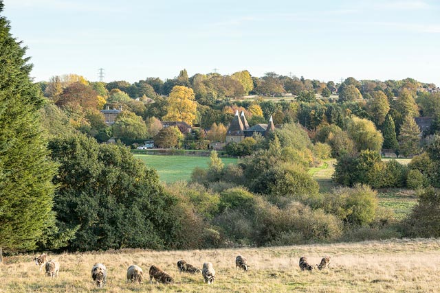 Autumn at Teston